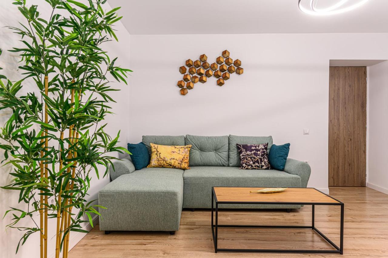 Apartment Schei Gate Brasov